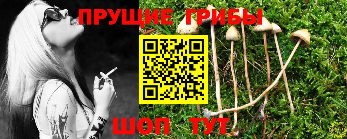 Псилоцибиновые грибы мухоморы Кизляр